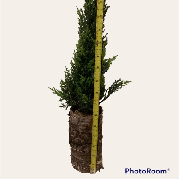 Artificial Pine Trees - Picture 3 of 5